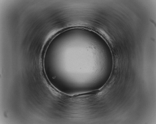 X0000096401072200801311345