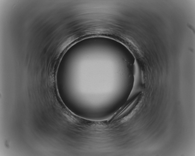 X0000096401073200801311345