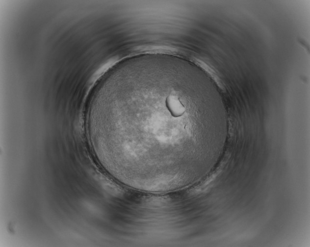 X0000096401074200801311345