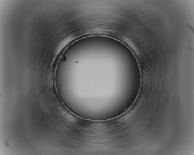 X0000096401075200801311345