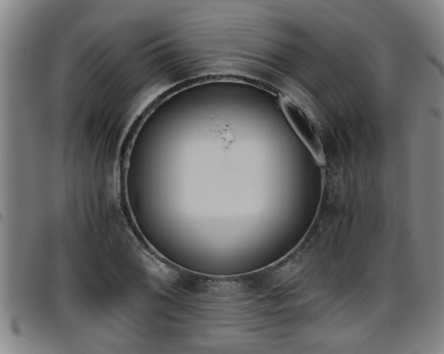 X0000096401076200801311345