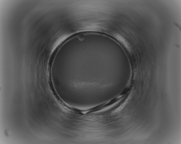 X0000096401077200801311345