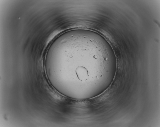 X0000096401078200801311345