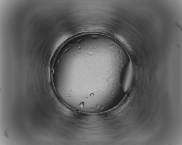 X0000096401079200801311345