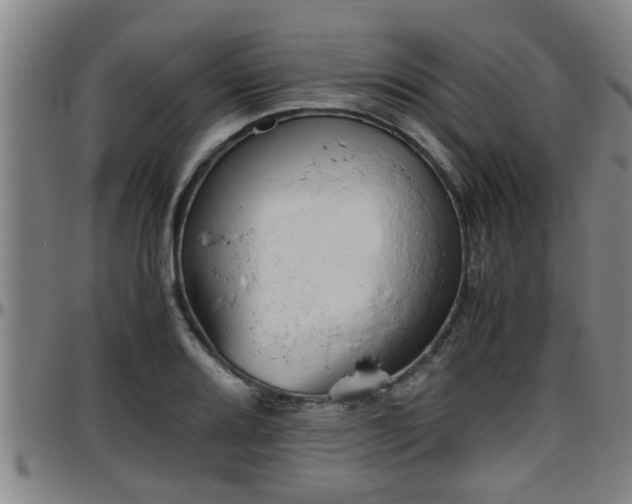 X0000096401080200801311345