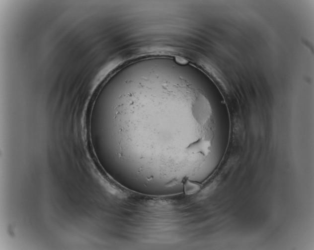 X0000096401082200801311345