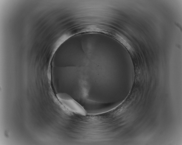 X0000096401084200801311345