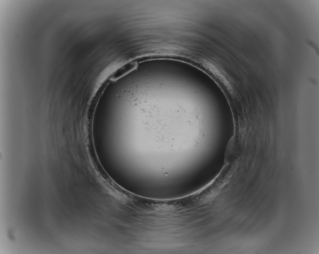 X0000096401085200801311345