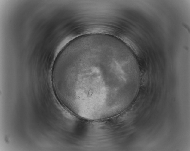 X0000096401086200801311345