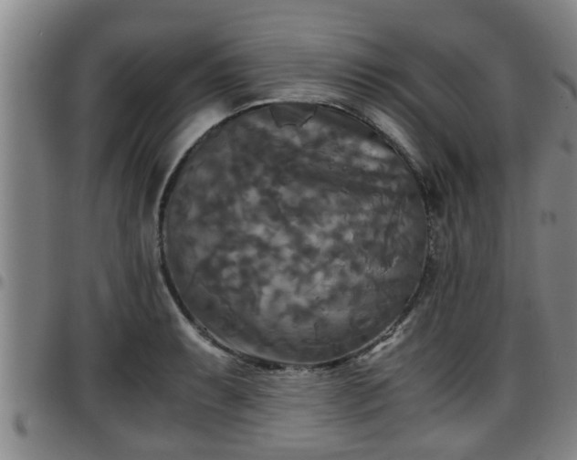 X0000096401087200801311345