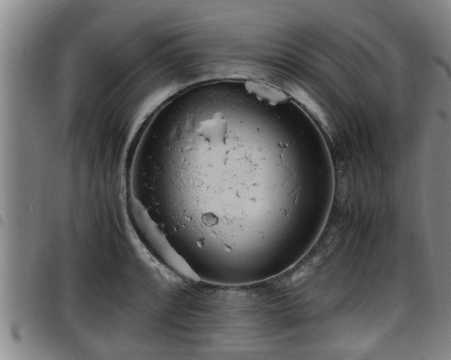 X0000096401088200801311345