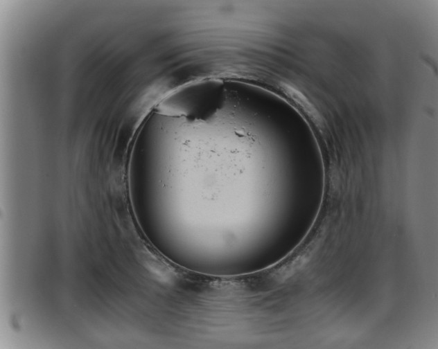 X0000096401089200801311345