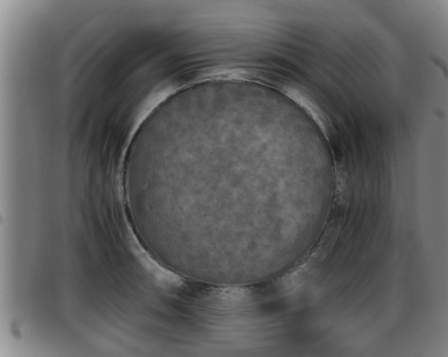 X0000096401090200801311345