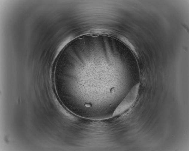 X0000096401091200801311345