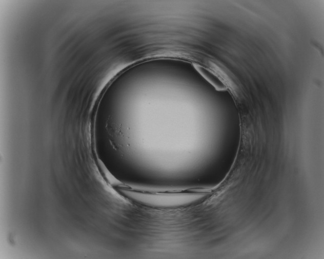 X0000096401092200801311345