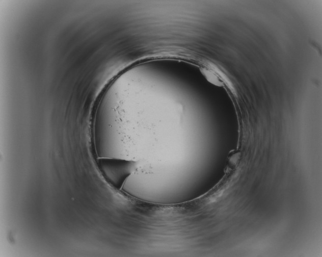 X0000096401093200801311345