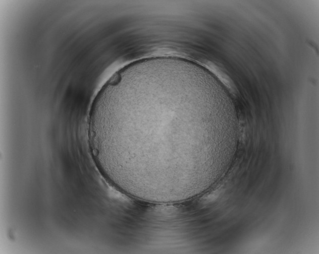 X0000096401094200801311345