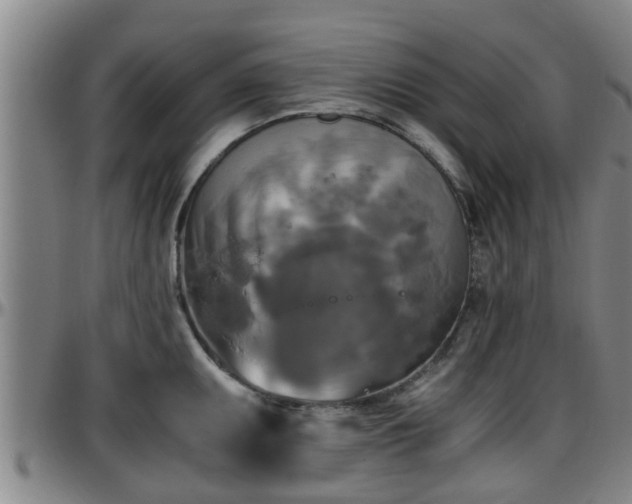 X0000096401095200801311345