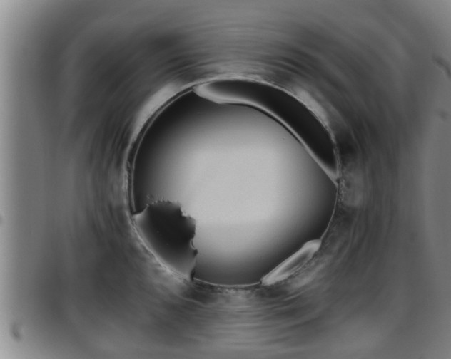 X0000096401096200801311345