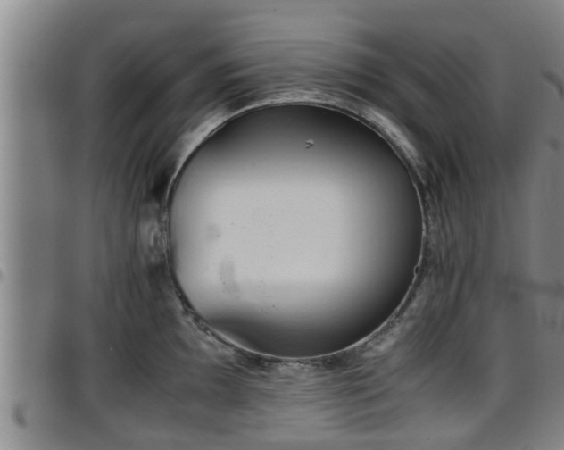 X0000096401097200801311345