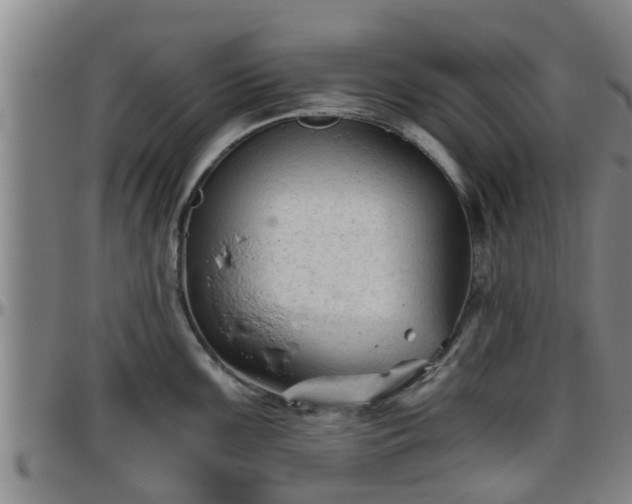 X0000096401099200801311345