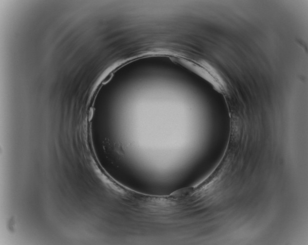 X0000096401100200801311345