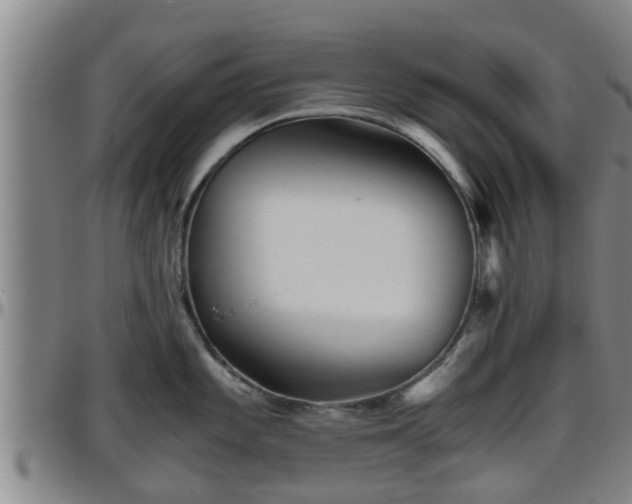 X0000096401101200801311345