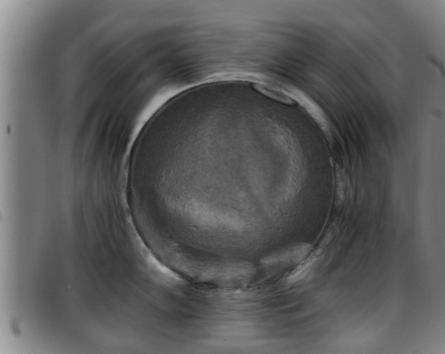 X0000096401102200801311345