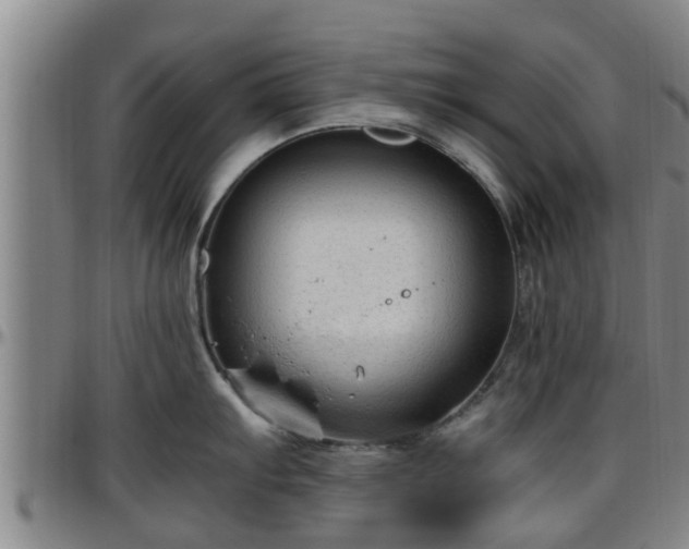 X0000096401103200801311345