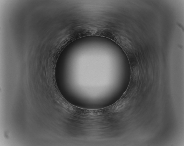 X0000096401105200801311344