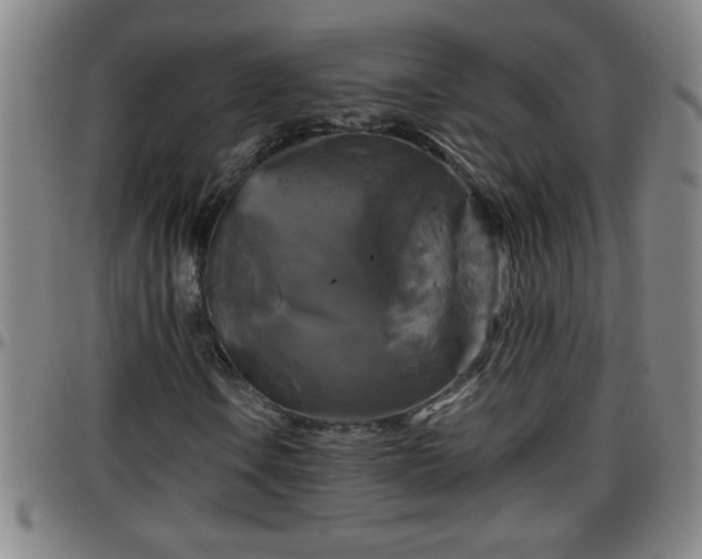 X0000096401106200801311344