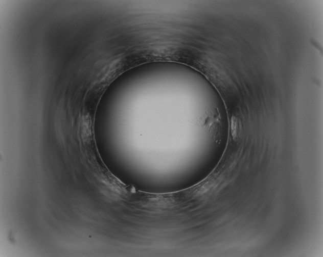 X0000096401107200801311344