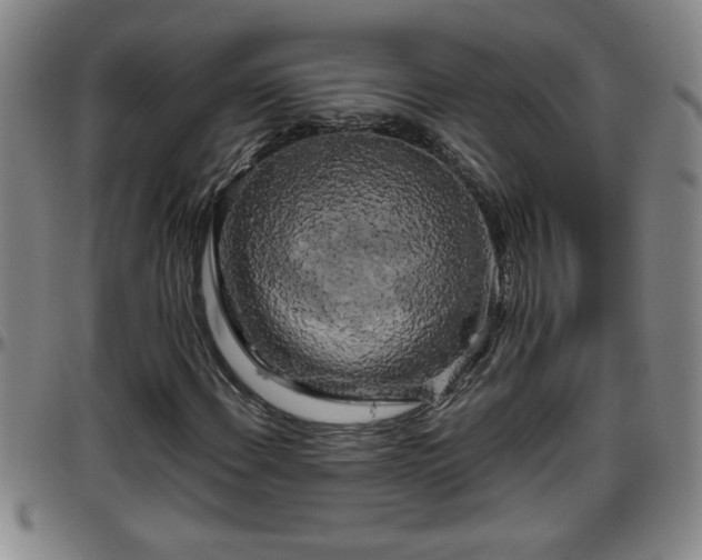 X0000096401108200801311344