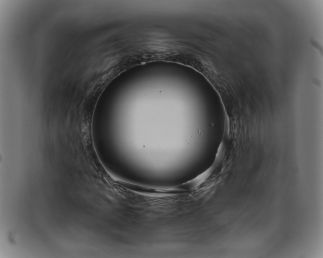 X0000096401109200801311344