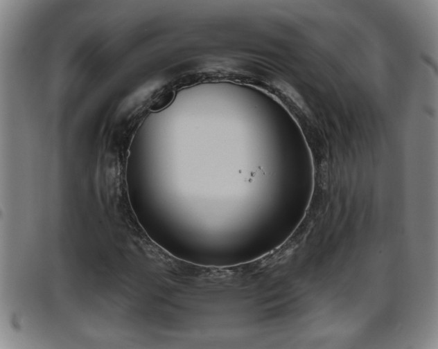 X0000096401111200801311344