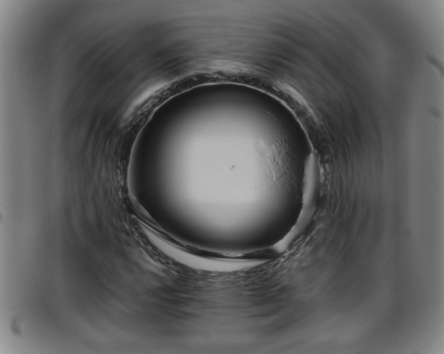 X0000096401112200801311344