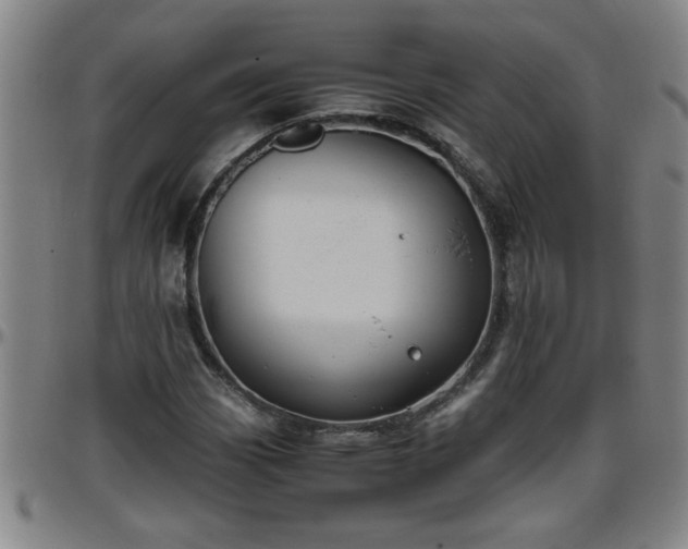 X0000096401113200801311344