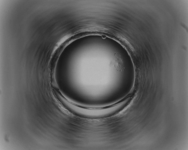 X0000096401114200801311344