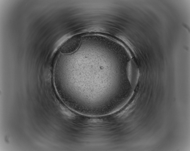 X0000096401115200801311344