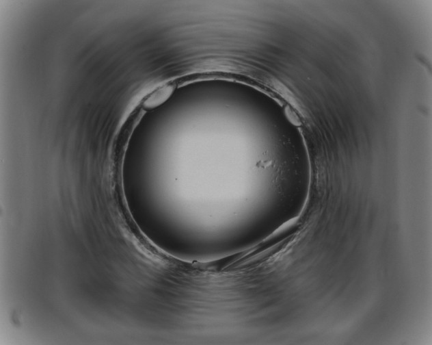 X0000096401116200801311344