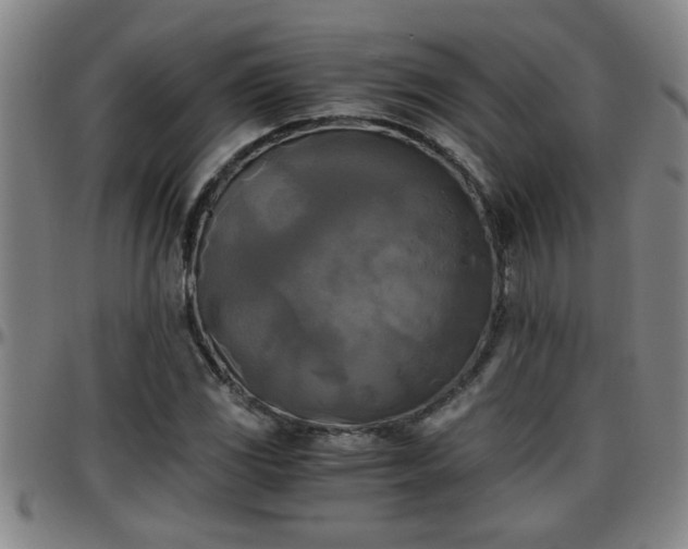 X0000096401117200801311344