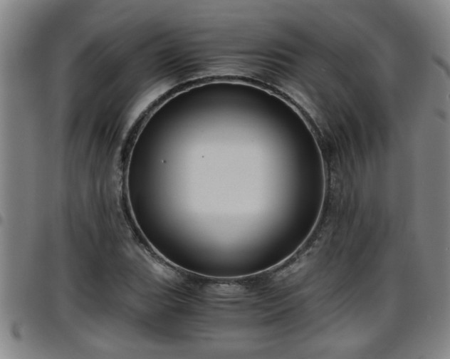 X0000096401119200801311344