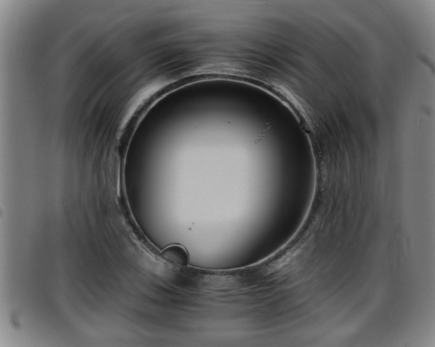 X0000096401123200801311344