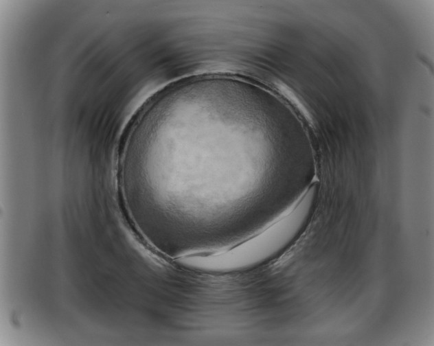 X0000096401124200801311344