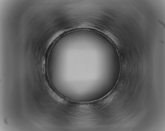 X0000096401126200801311345