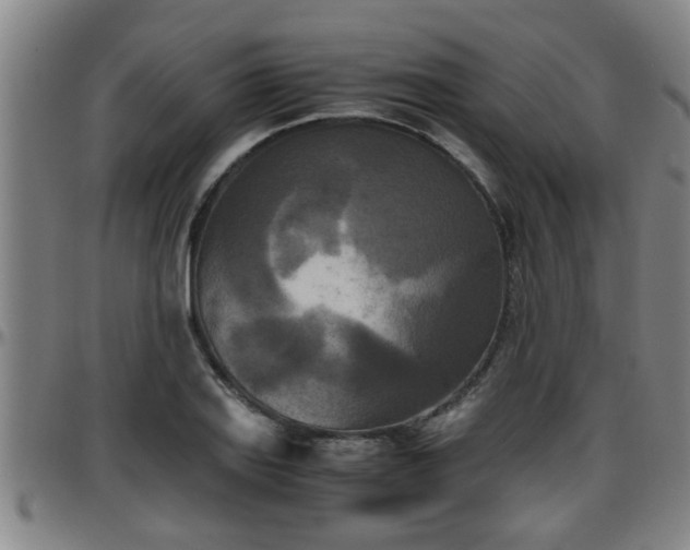 X0000096401127200801311345