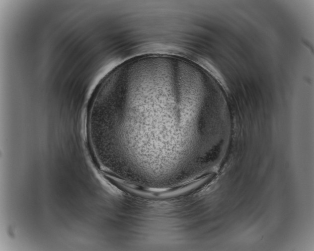 X0000096401128200801311345