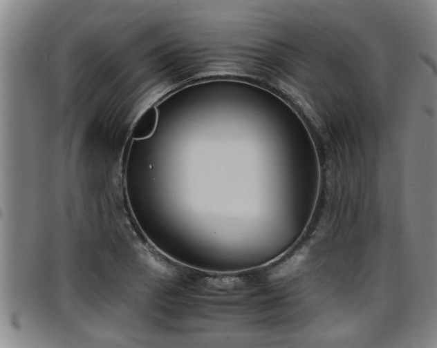 X0000096401129200801311345