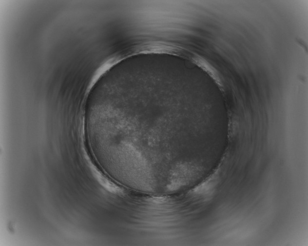 X0000096401130200801311345