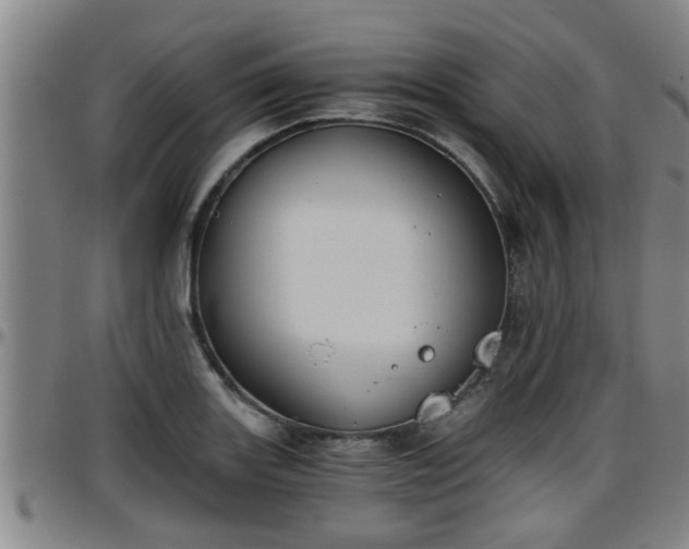 X0000096401131200801311345